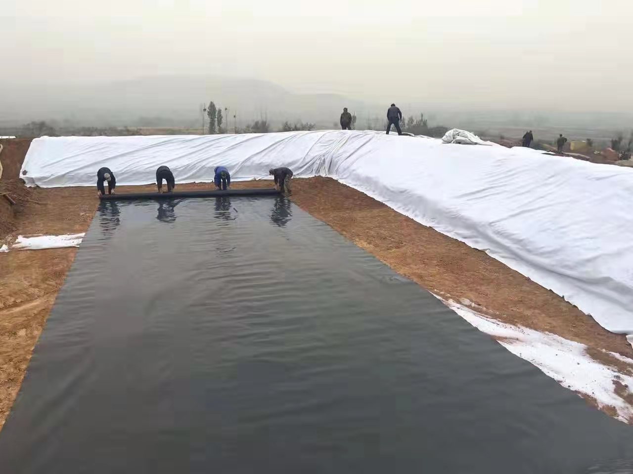 為何通常推薦養(yǎng)殖大戶應(yīng)用黑色的土工膜?